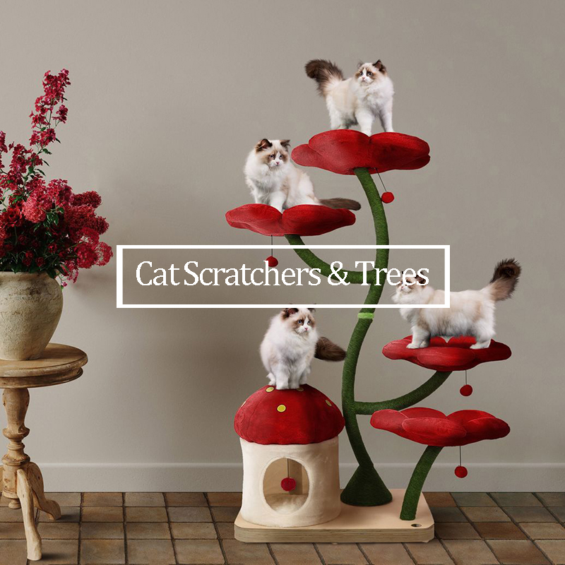 Cat Scratchers & Trees